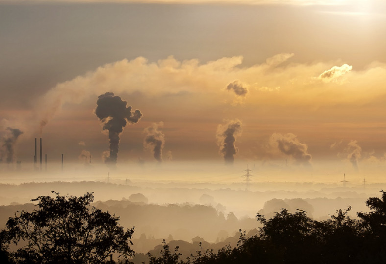Desacreditando los créditos de carbono